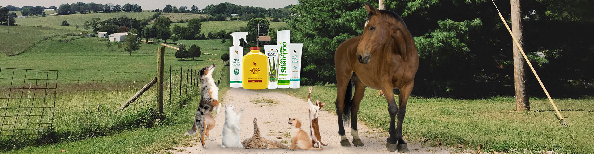 Forever Living Pet Care Products - Aloe Cache